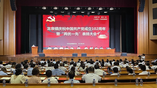 龍泉鎮慶祝建黨102周年 稻花香營銷黨支部作典型發言